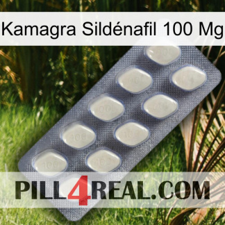 Kamagra Sildénafil 100 Mg 08
